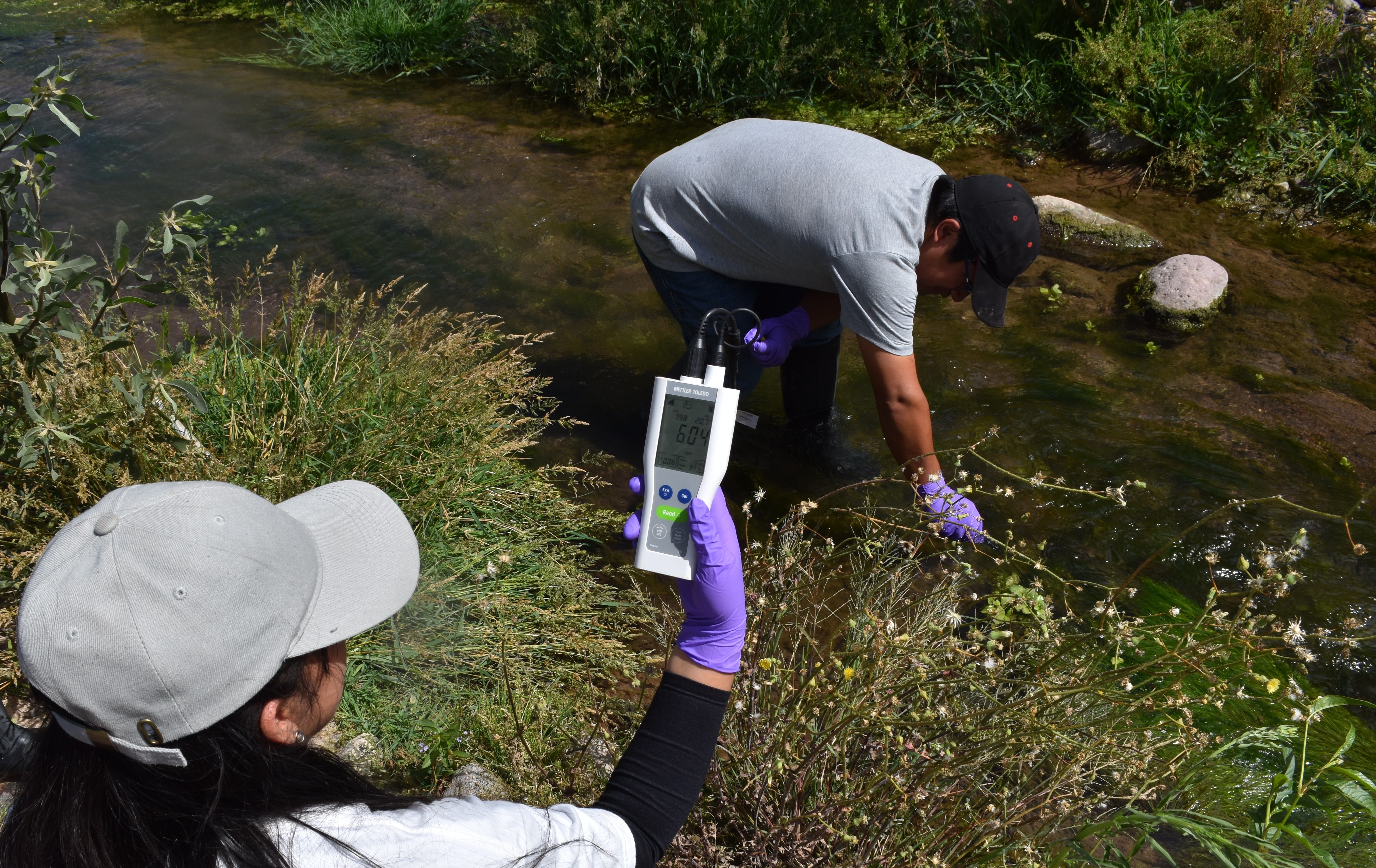 November2025Fieldwork