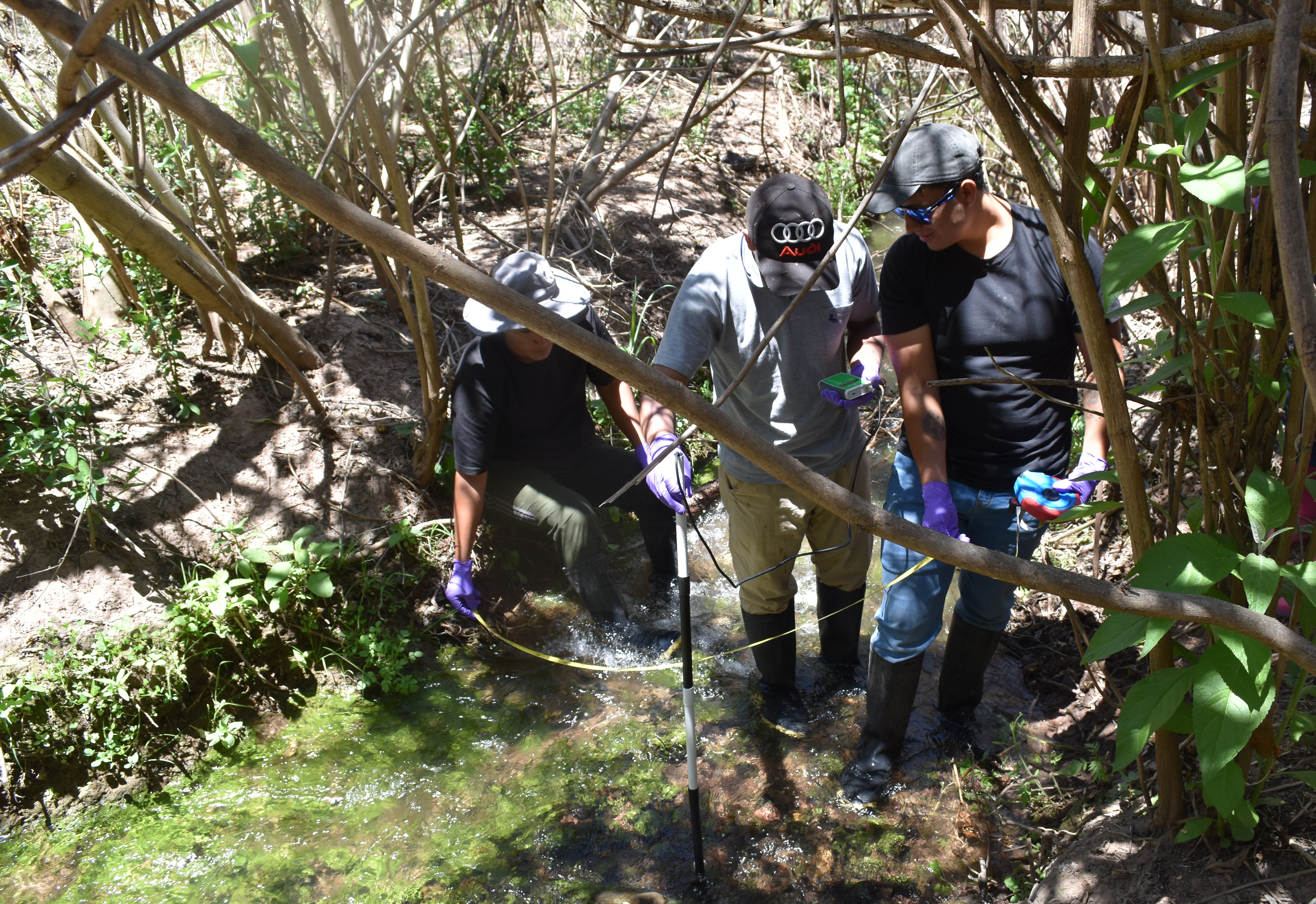 November2025Fieldwork