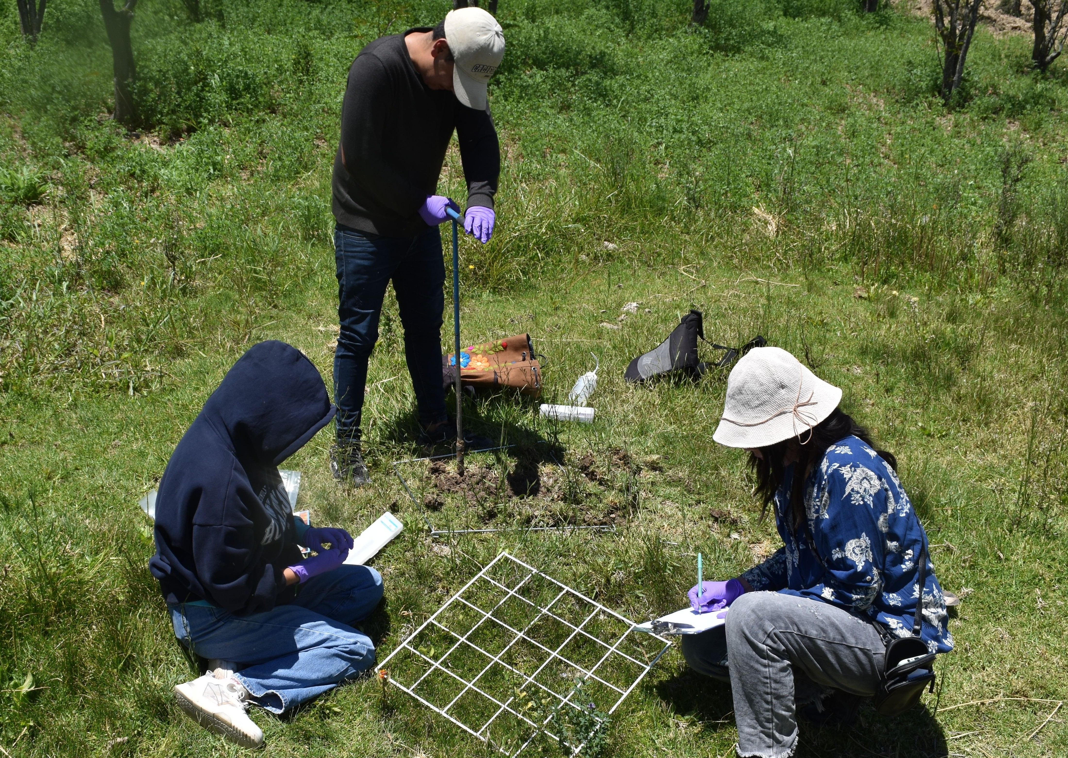 November2025Fieldwork