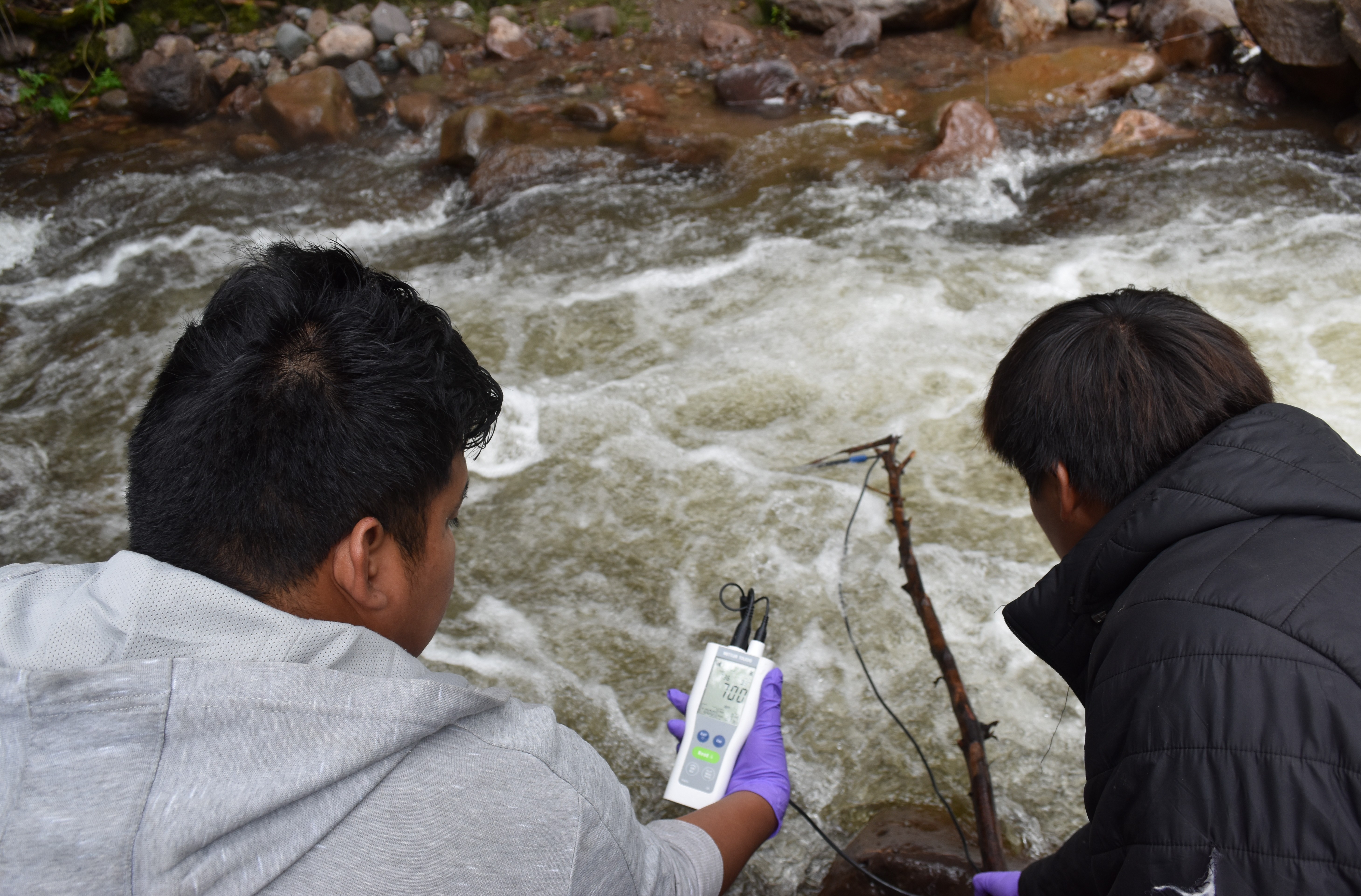 February2025Fieldwork