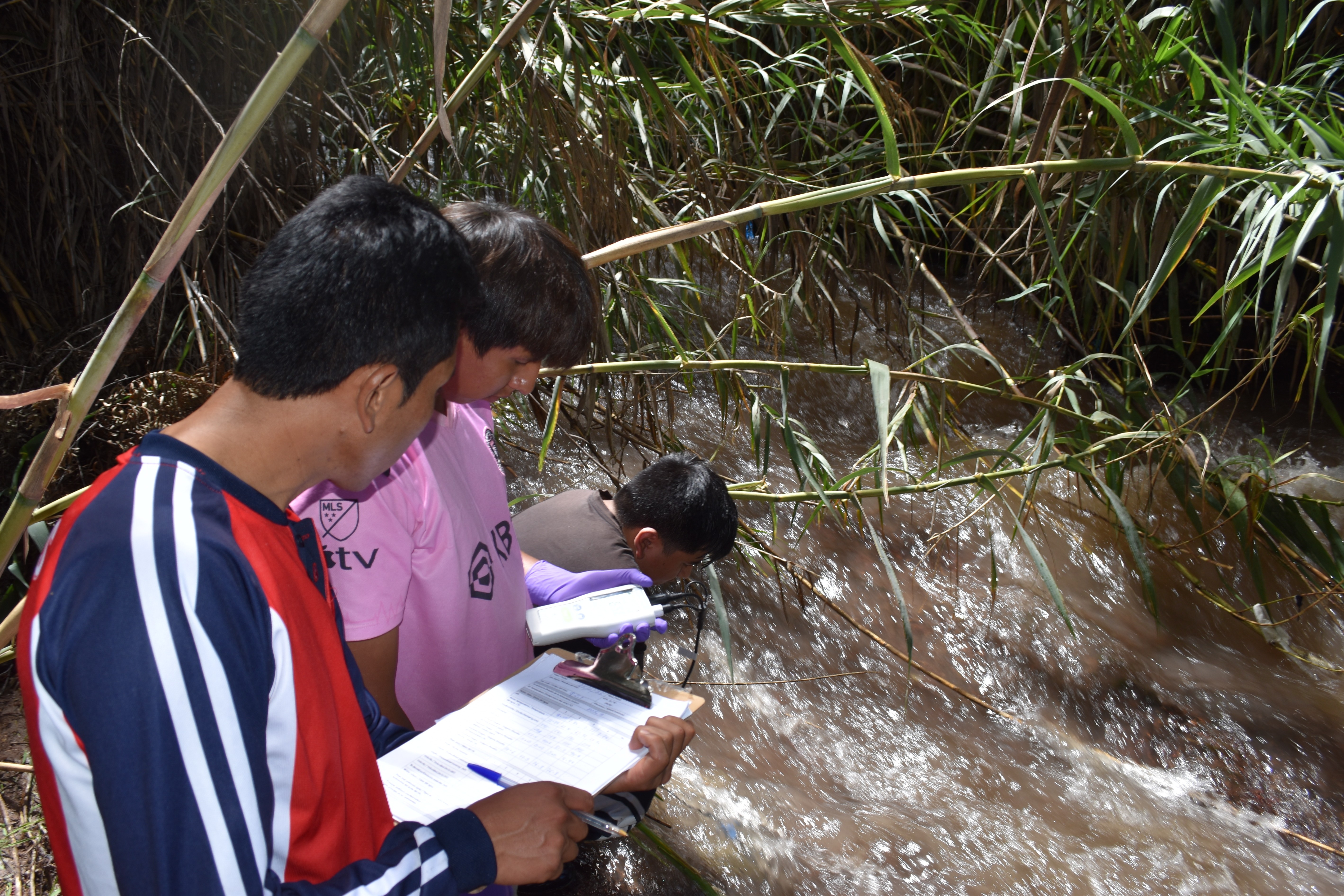 February2025Fieldwork