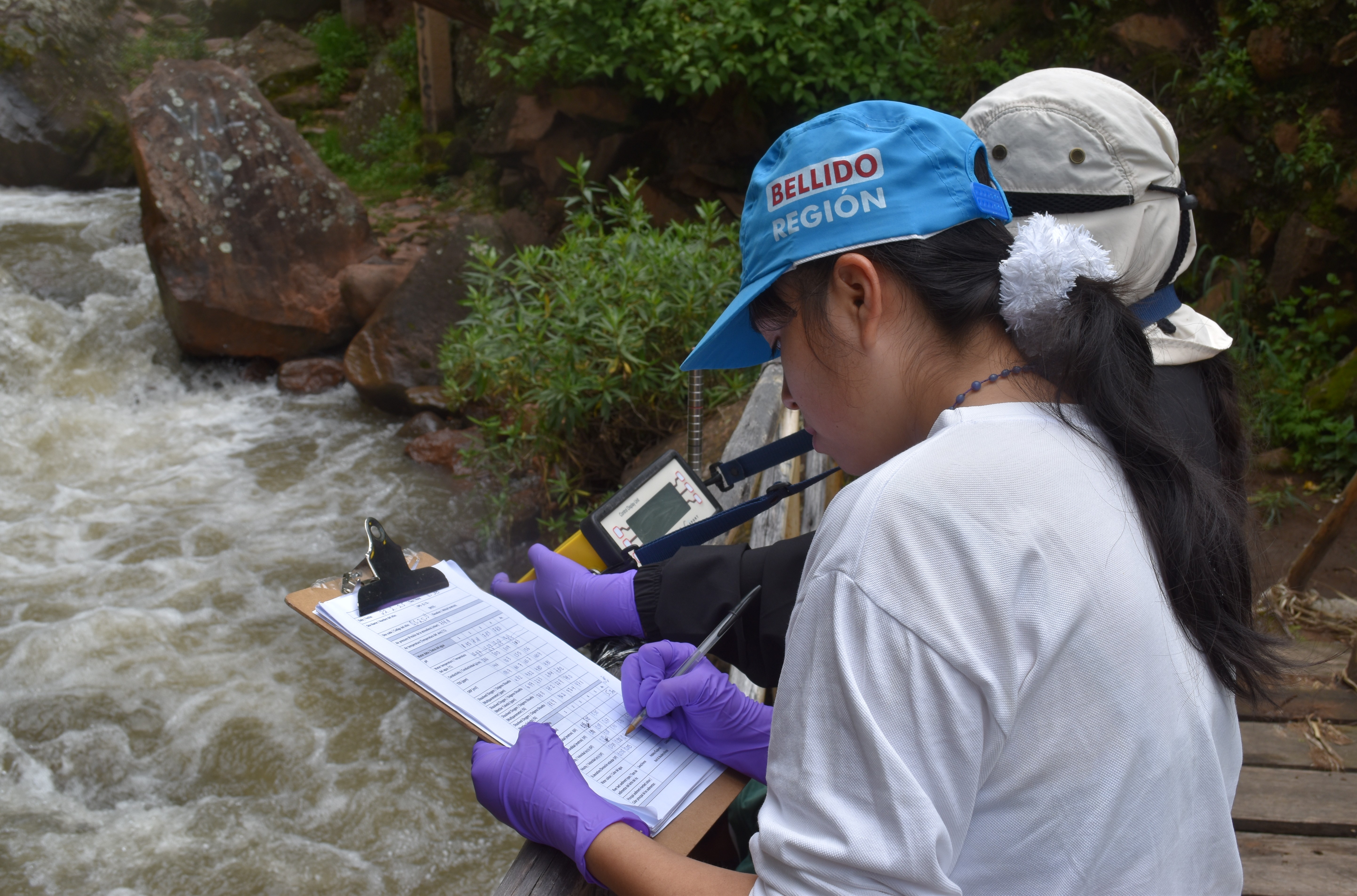 February2025Fieldwork