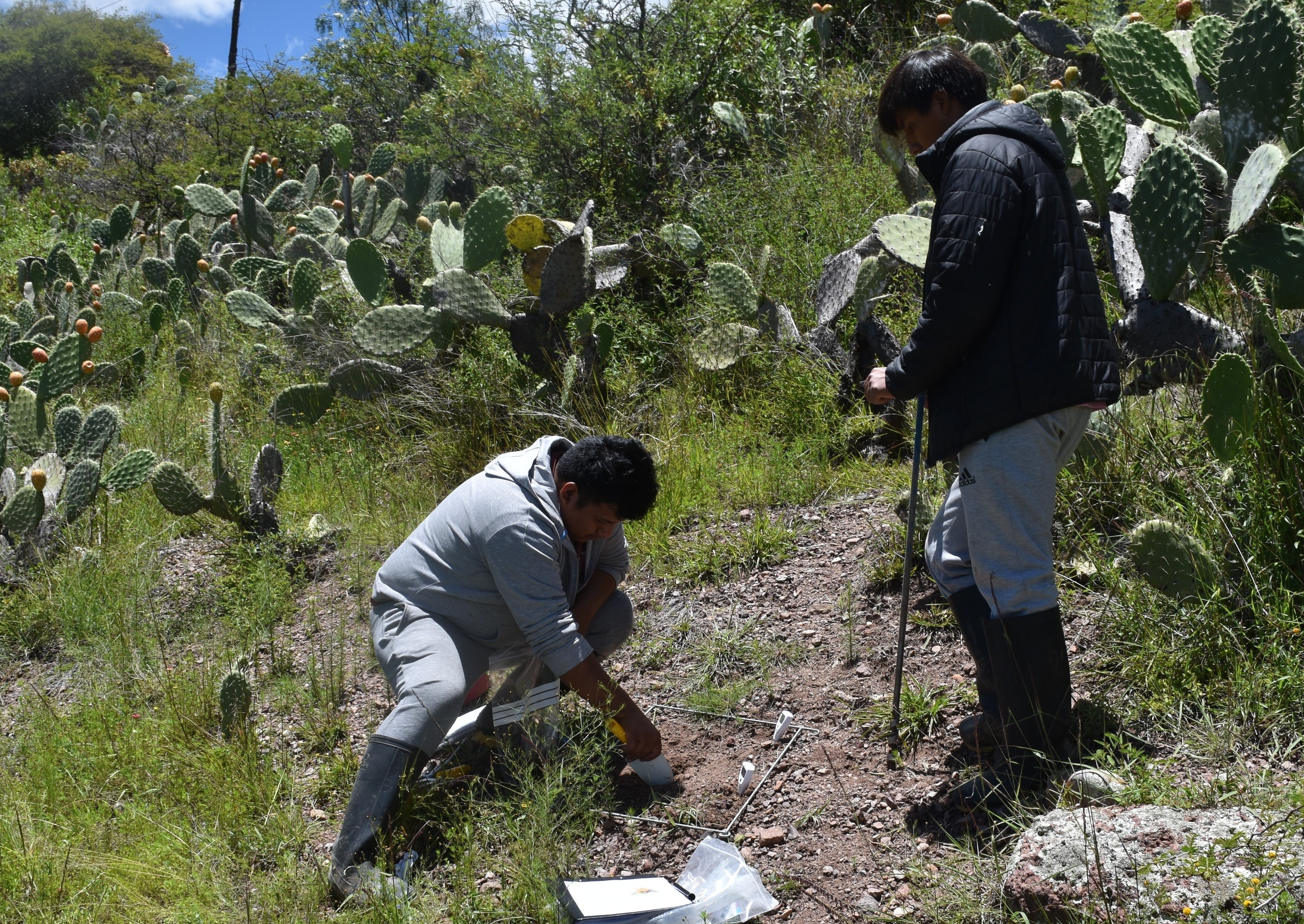 February2025Fieldwork