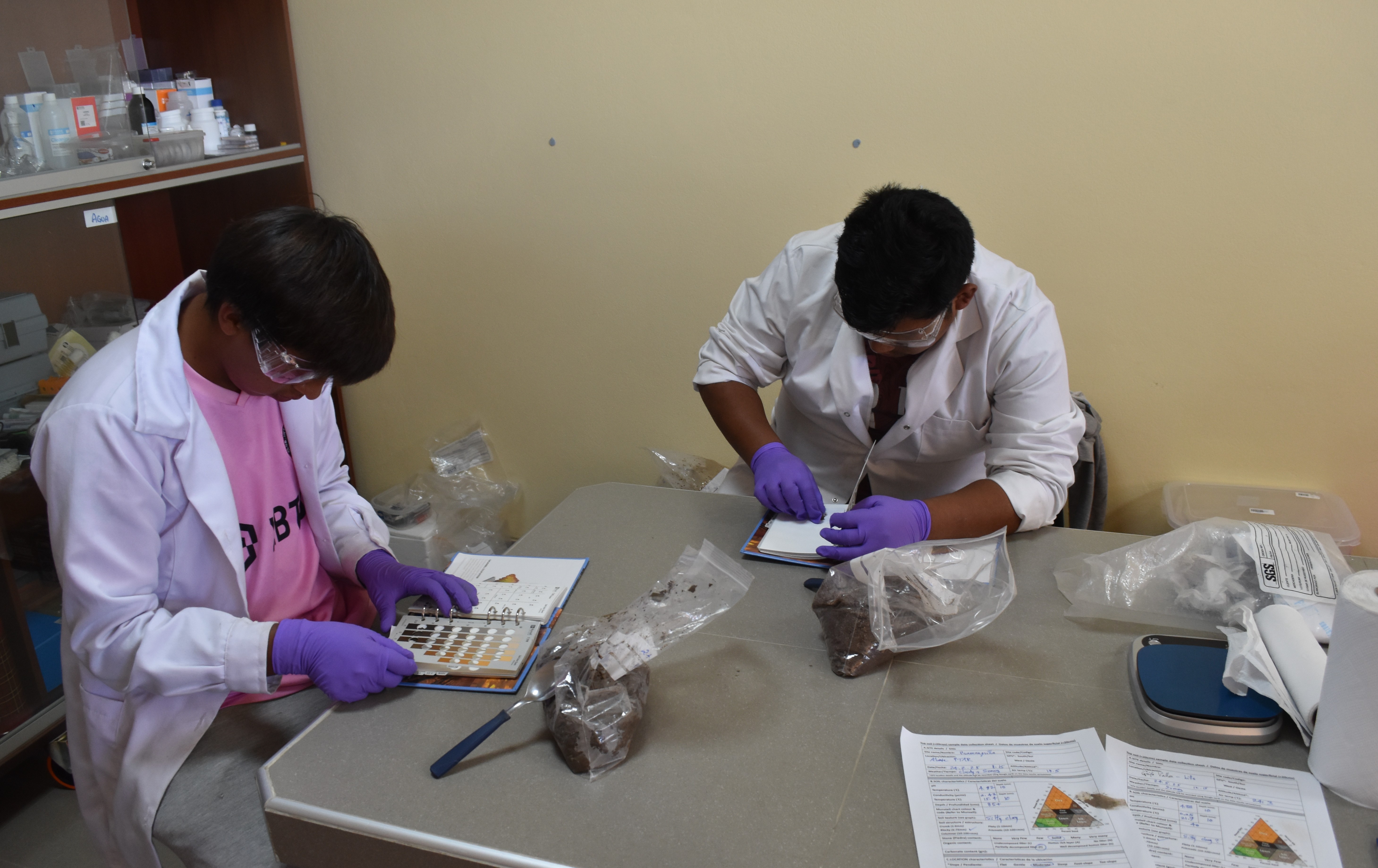 February2025Fieldwork