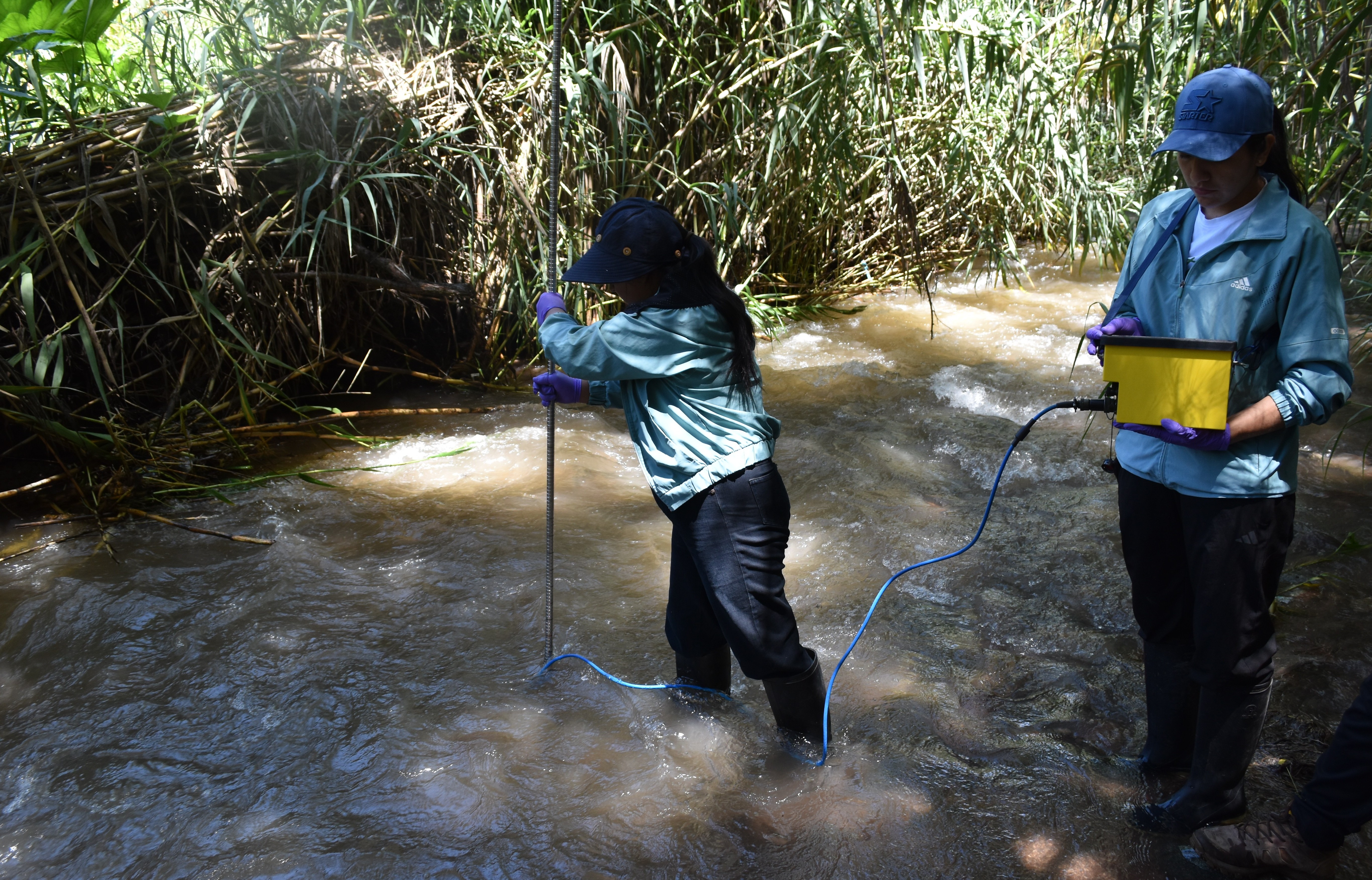 March2026Fieldwork