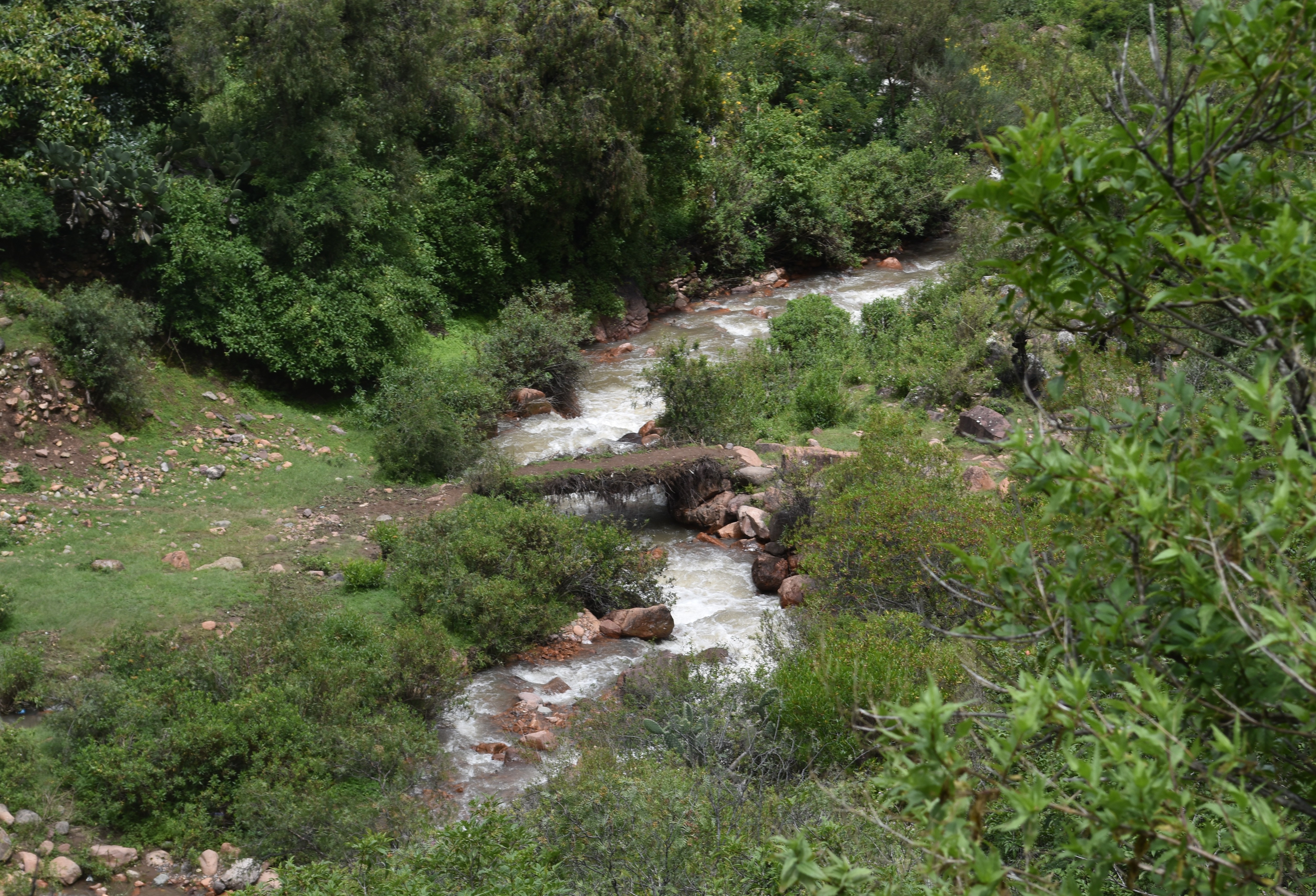 March2026Fieldwork