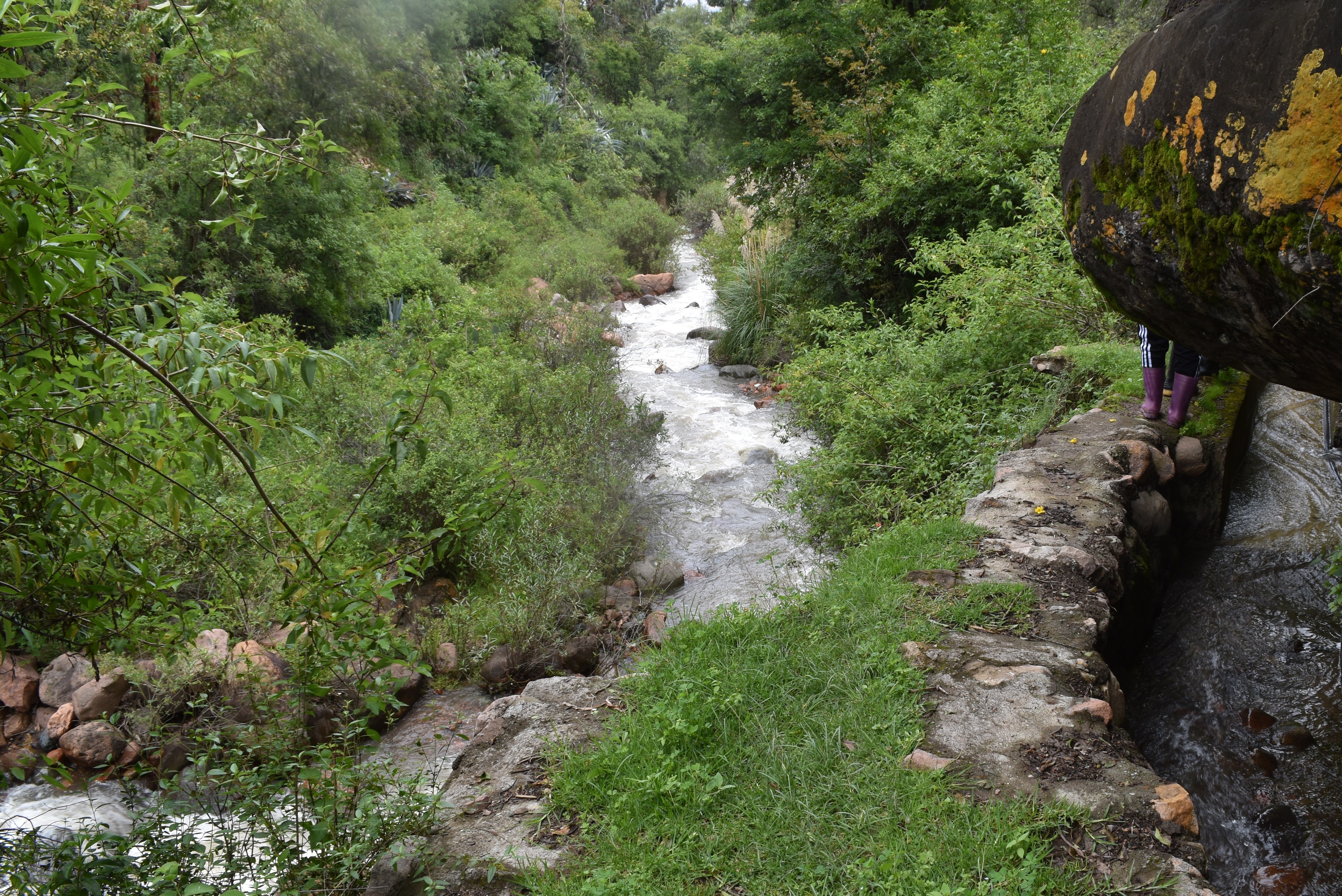 March2026Fieldwork