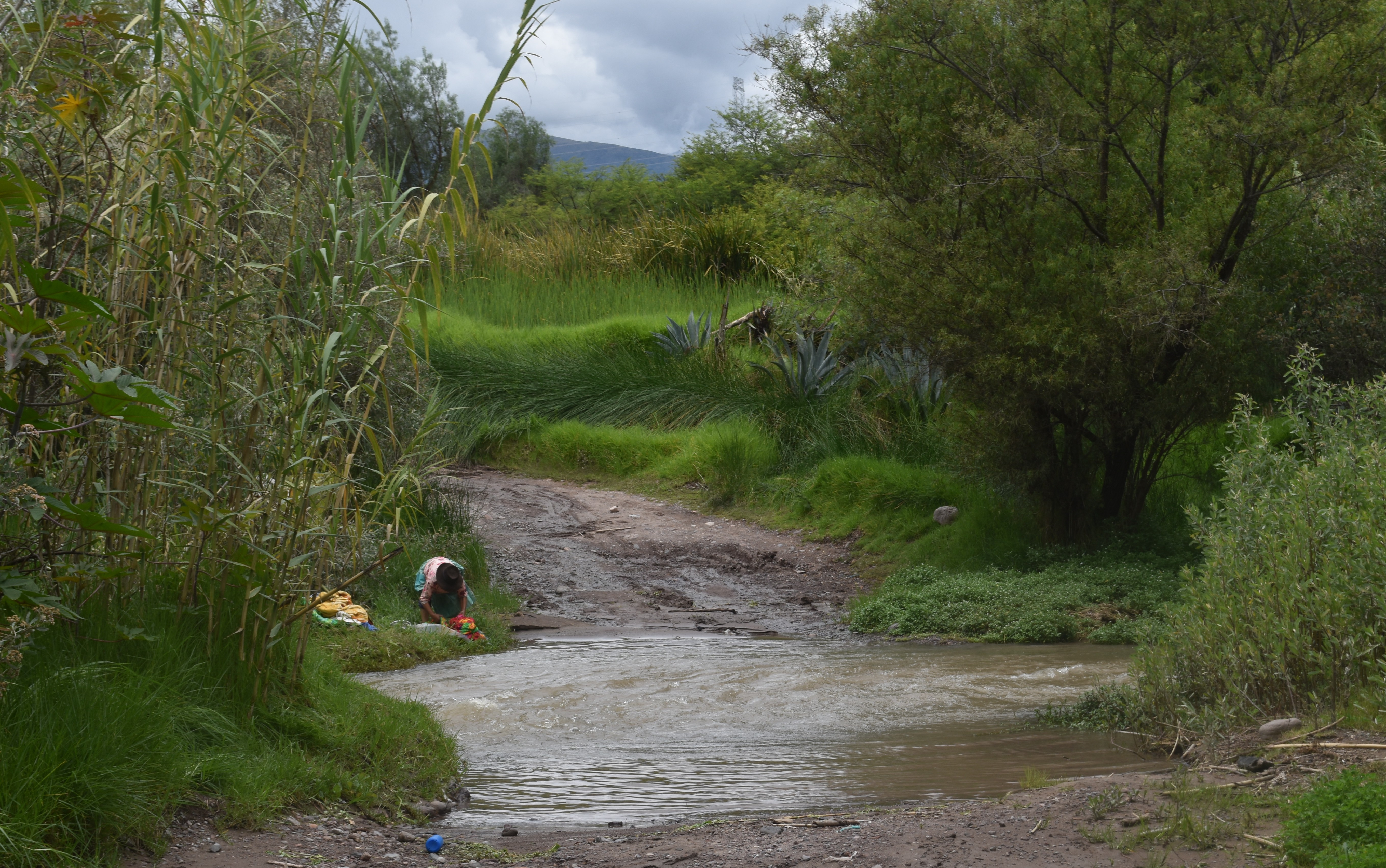March2026Fieldwork