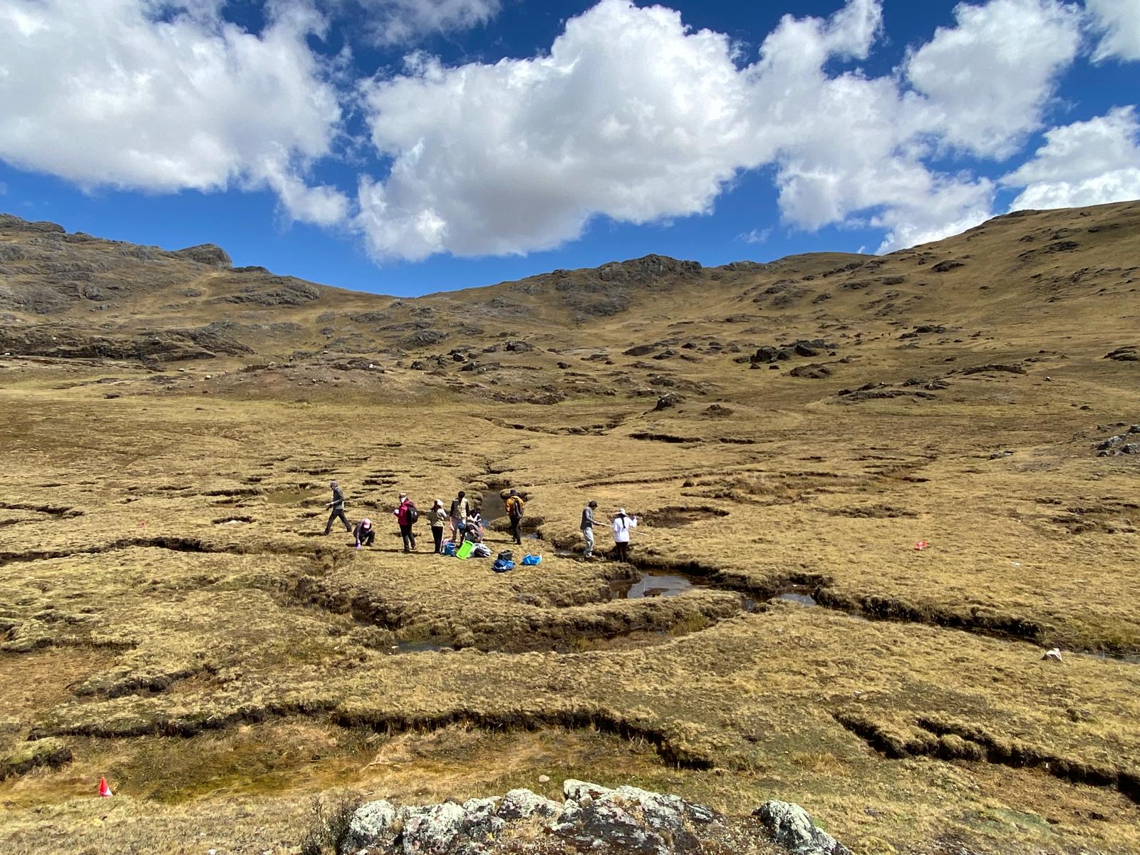 July2026Fieldwork