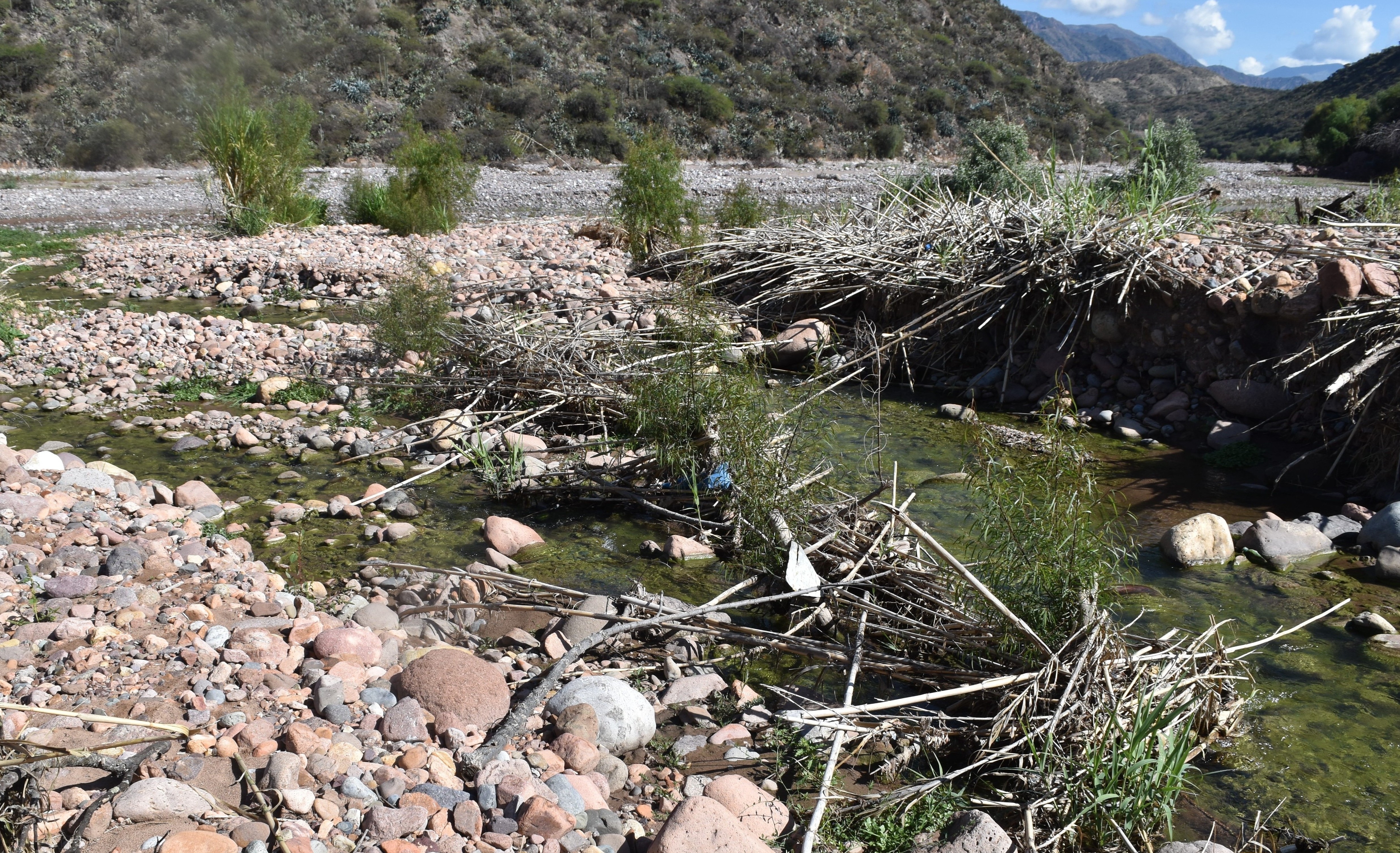 Q1.1downstream