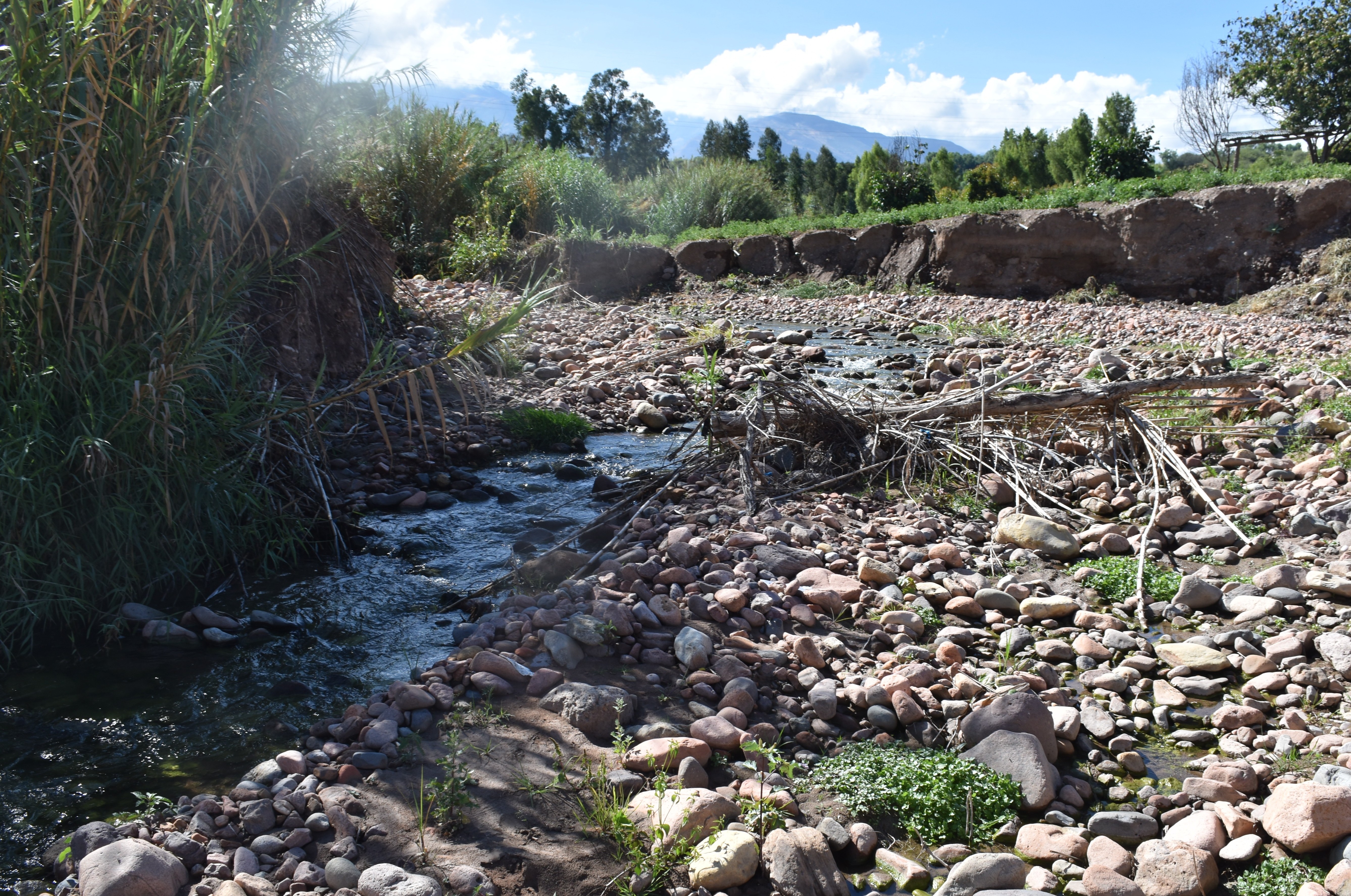 Q1.1upstream