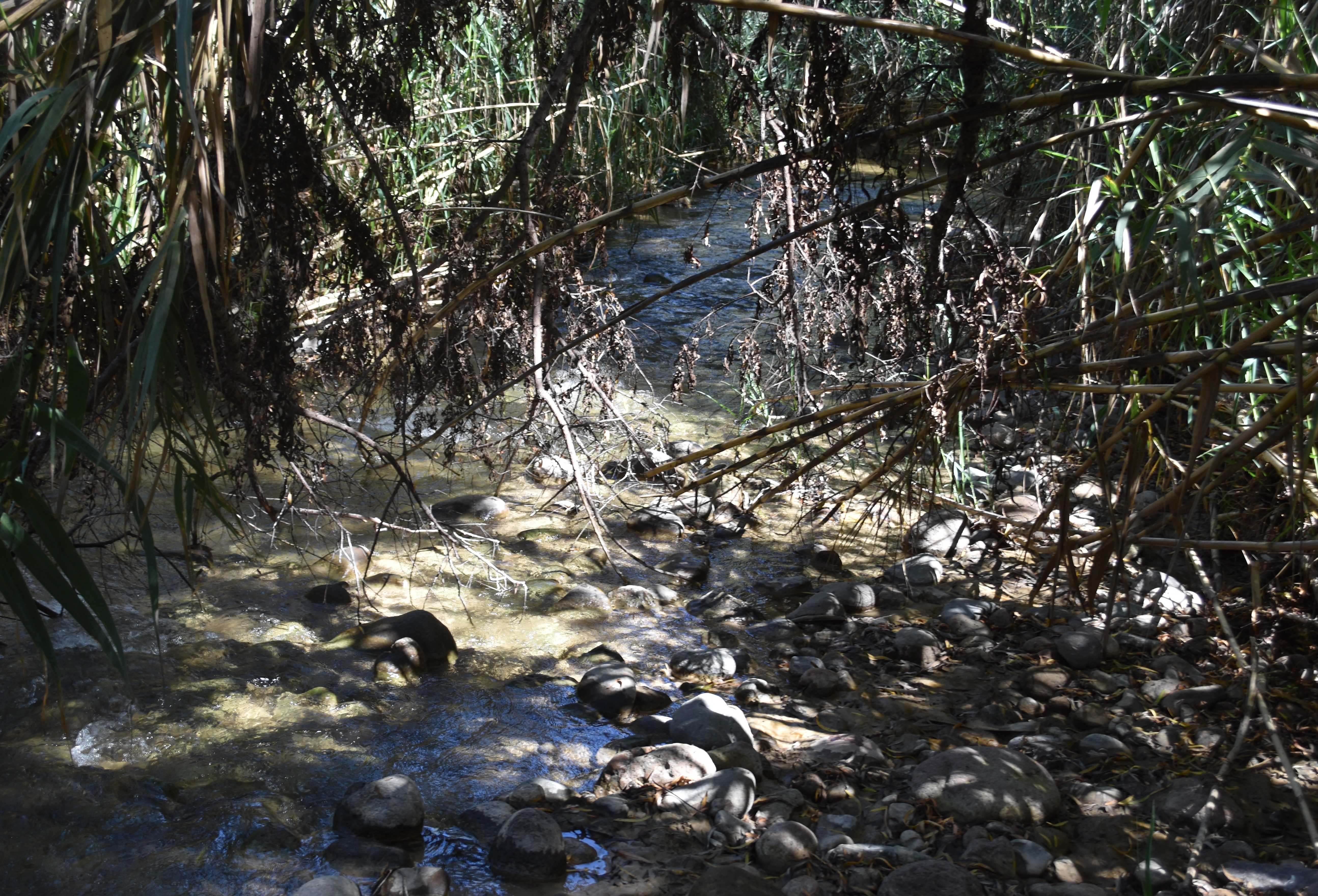 Q2.1downstream