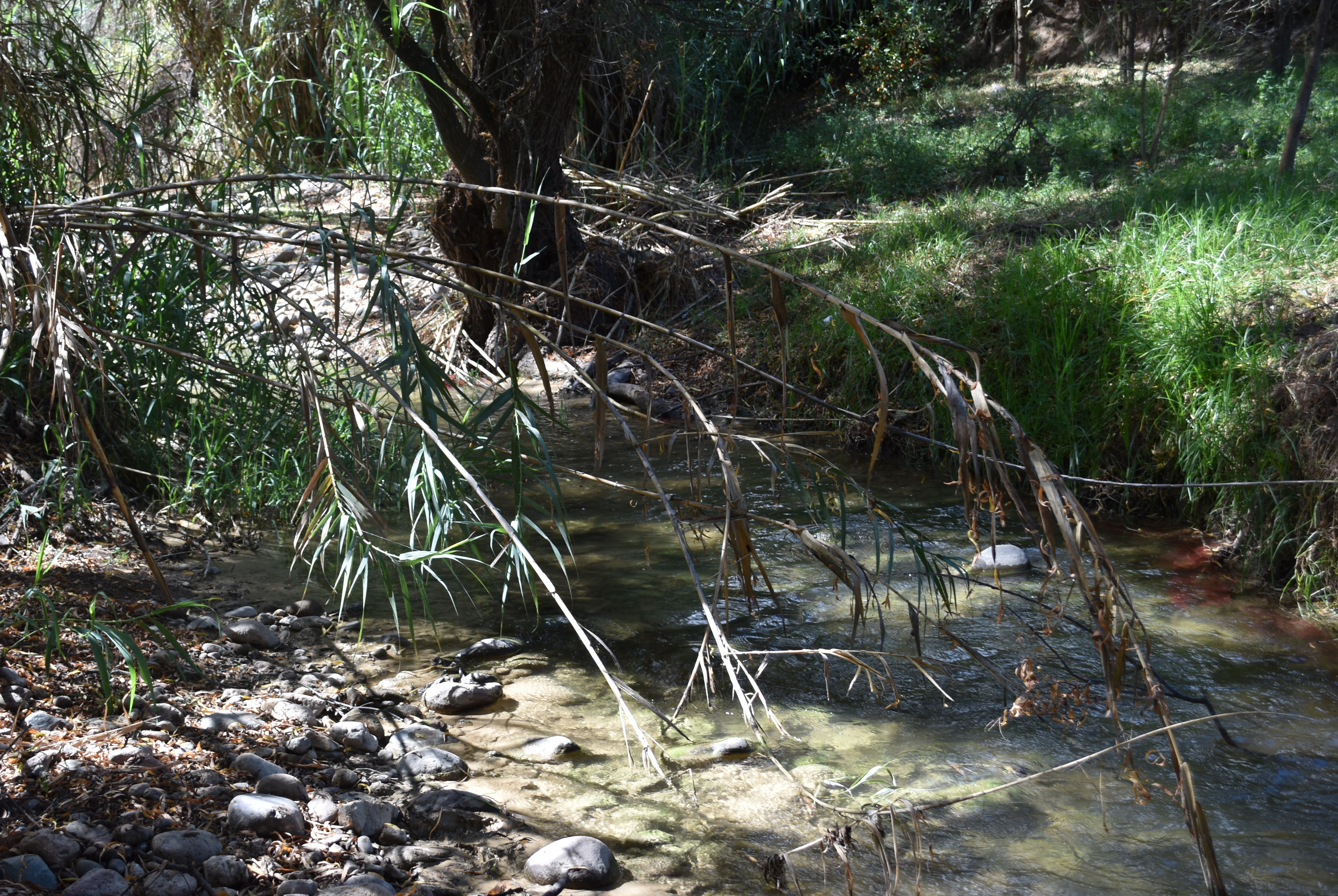 Q2.1upstream