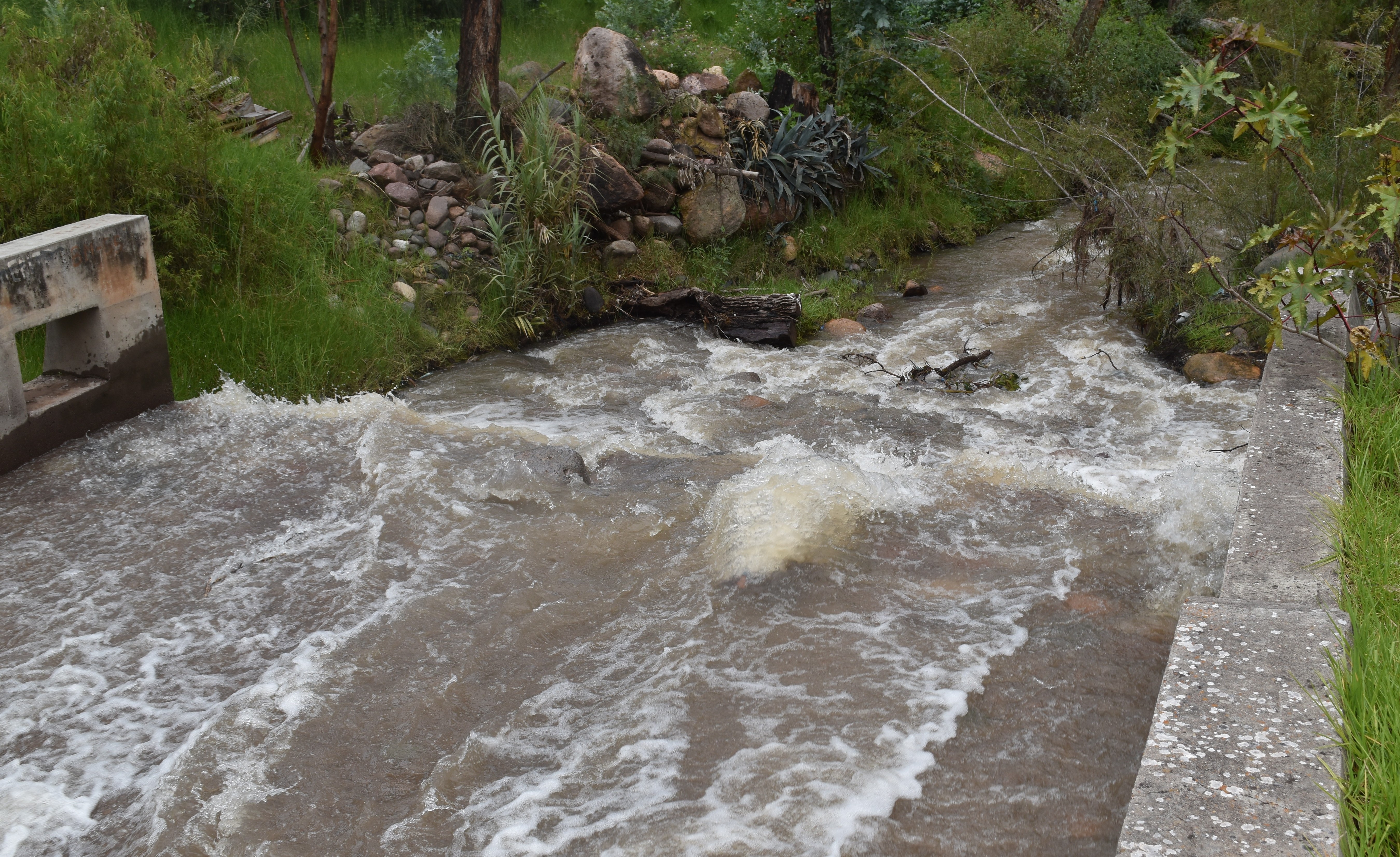Q2.2downstream2