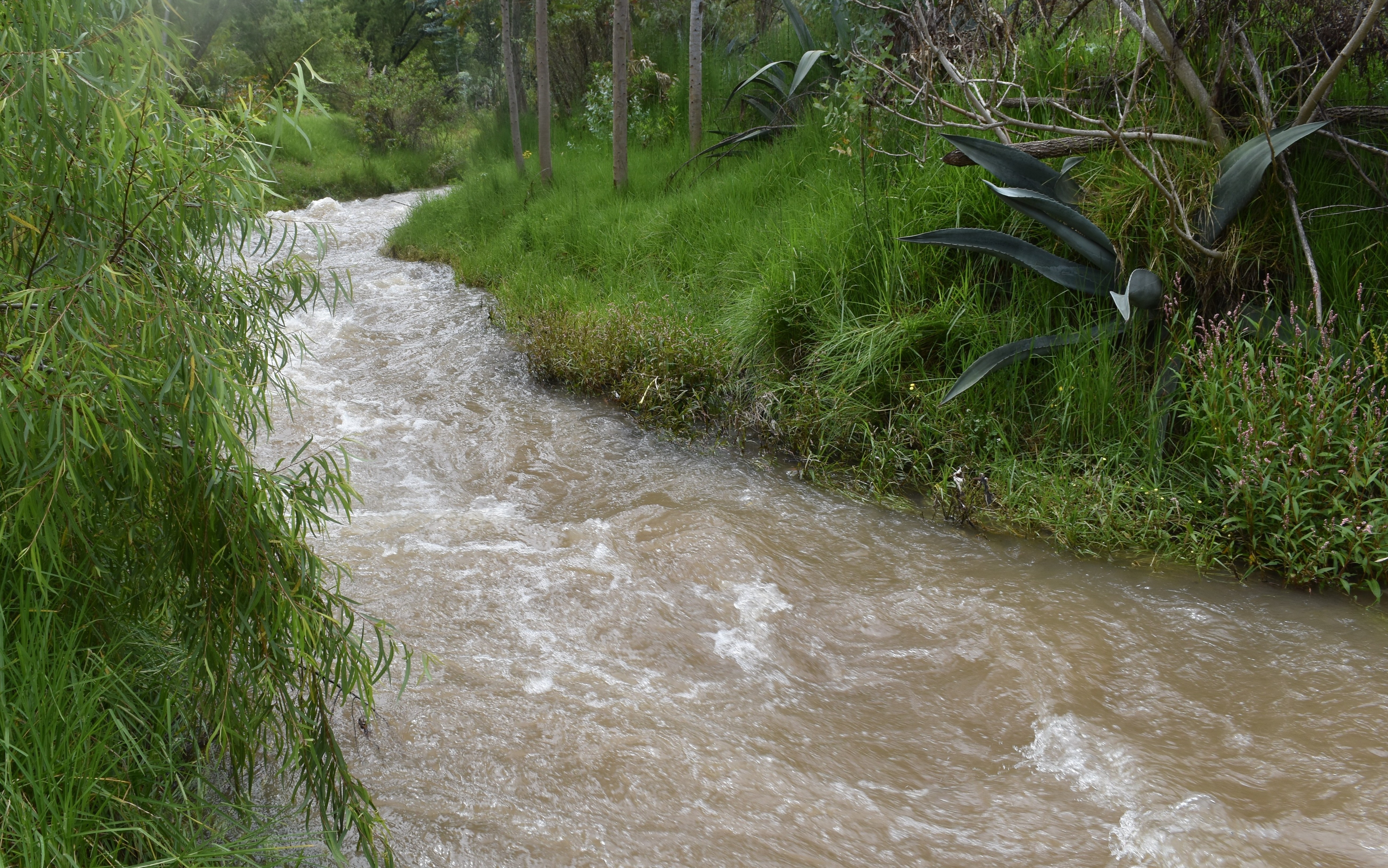 Q2.2upstream