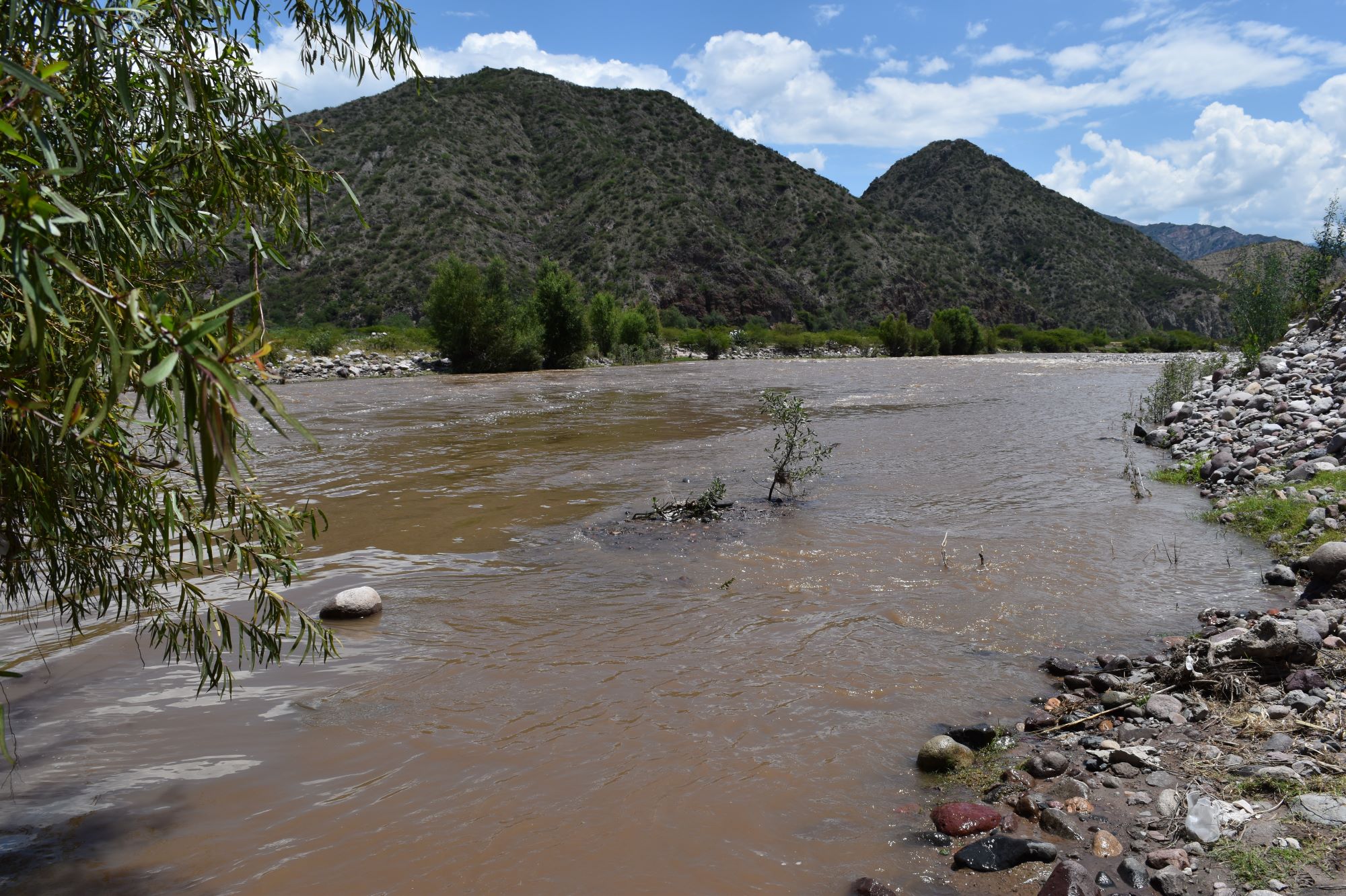 RC02 View downstream